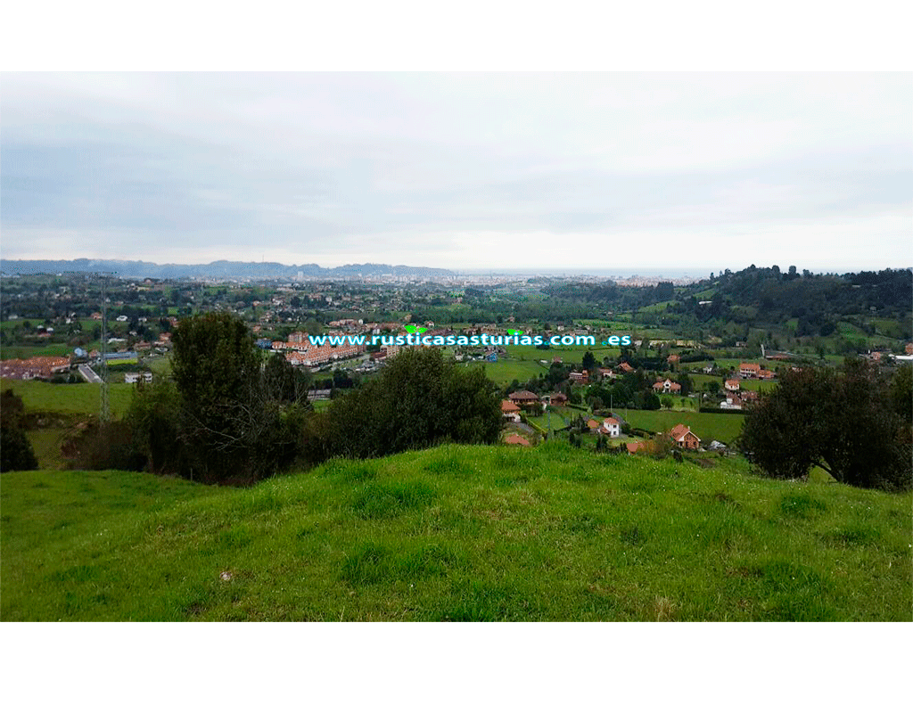 FINCA NO EDIFICABLE GIJONCALDONES